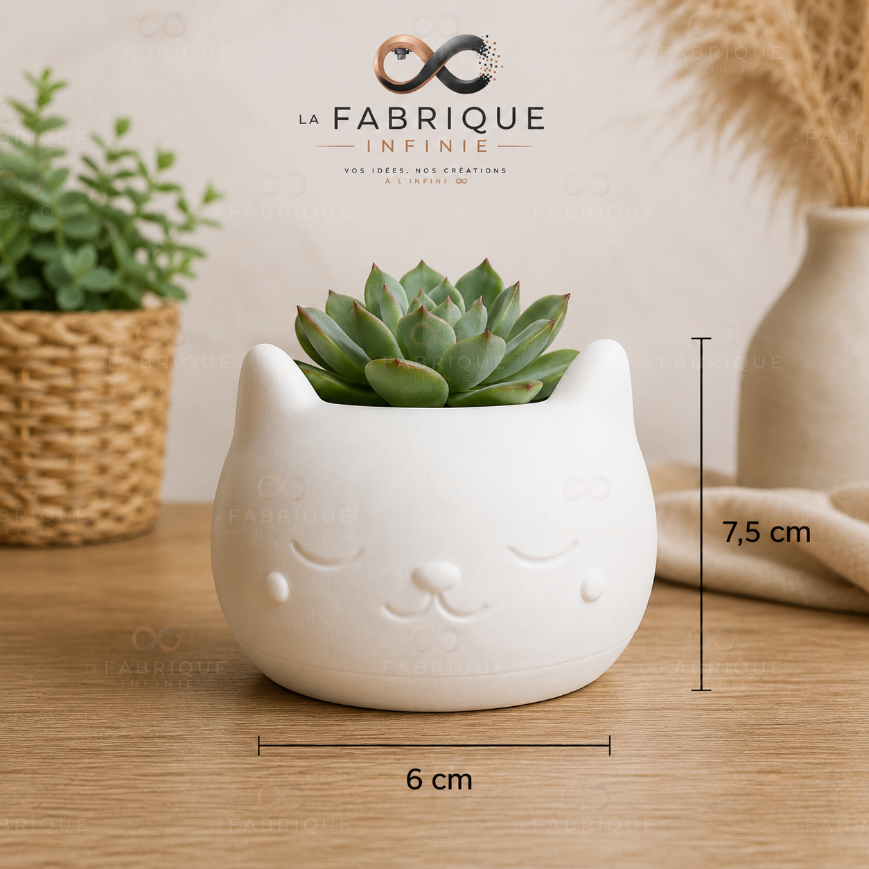 Pot succulente chat